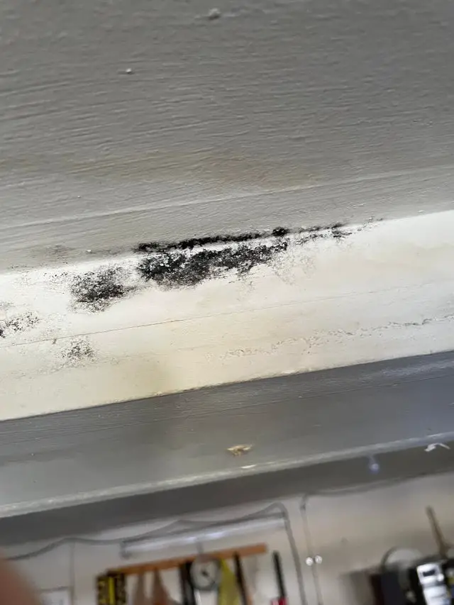 is this black mold or a black spot? its in my garage under ...