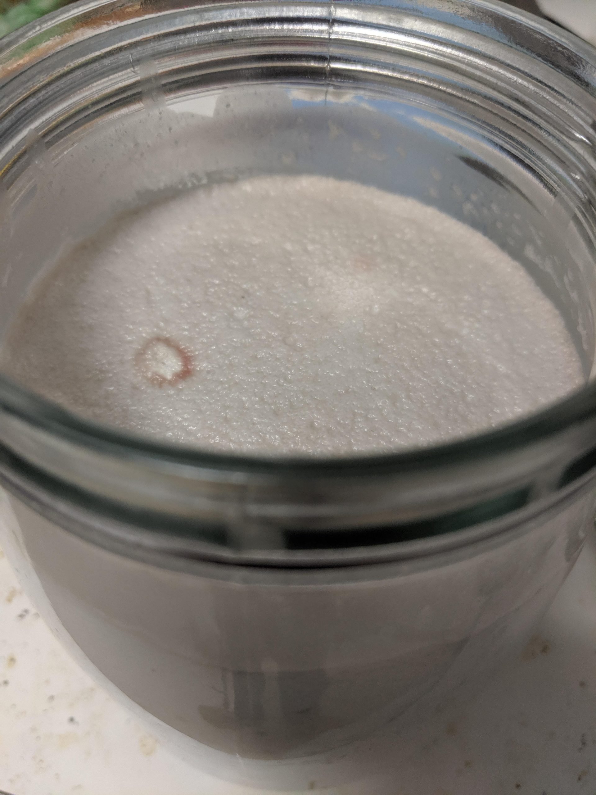 Is this mold on my coconut yogurt attempt? Should I ...