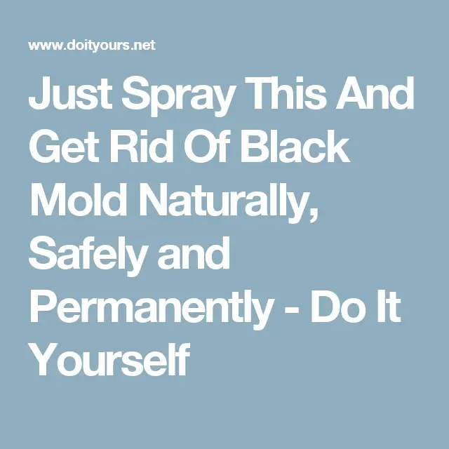 Just Spray This And Get Rid Of Black Mold Naturally, Safely and ...