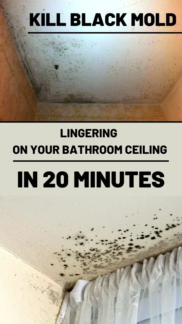 Kill Black Mold Lingering On Your Bathroom Ceiling In 20 Minutes in ...