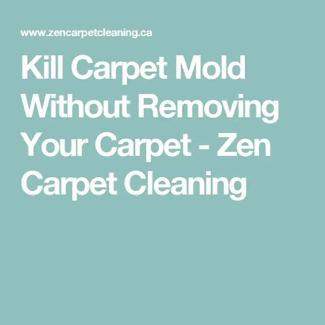 Kill Carpet Mold Without Removing Your Carpet