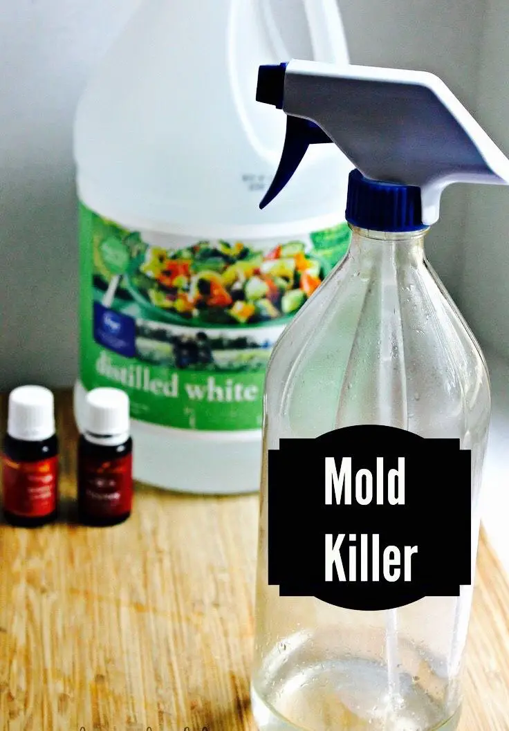 Kill Mold Naturally