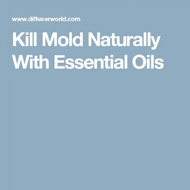 Kill Mold Naturally With Essential Oils