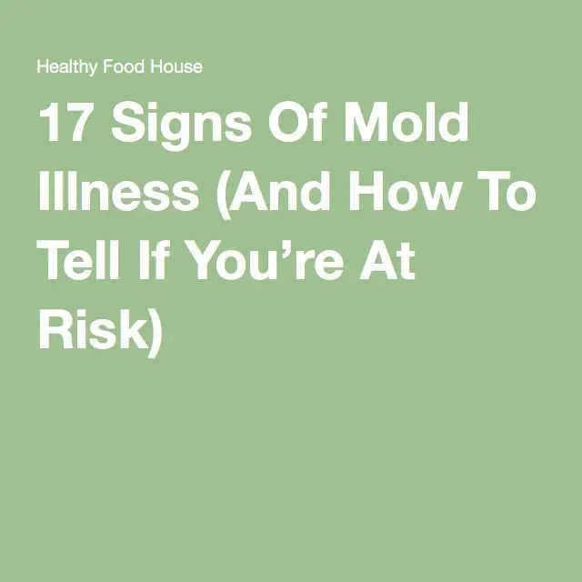 laurendillondesign: How Can Mold Affect Your Health