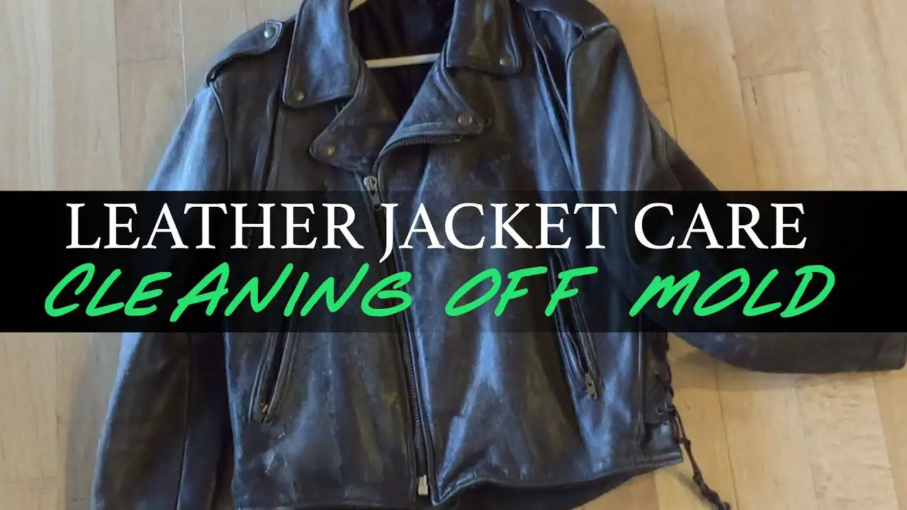 Leather Jacket Care: Cleaning Off Mold