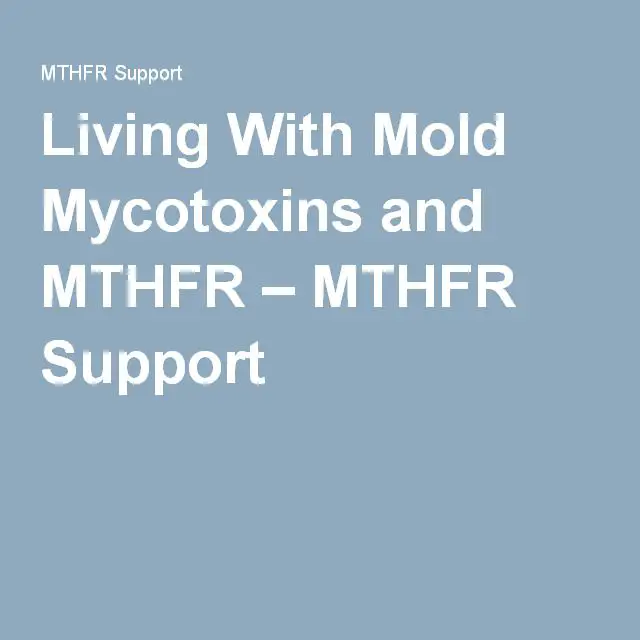 Living With Mold Mycotoxins and MTHFR