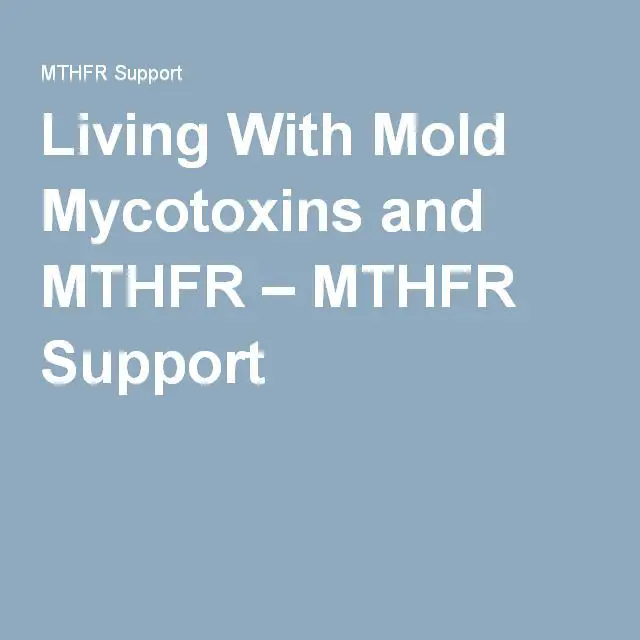 Living With Mold Mycotoxins and MTHFR  MTHFR Support