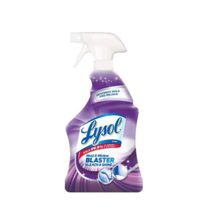 Lysol Mold and Mildew Blaster