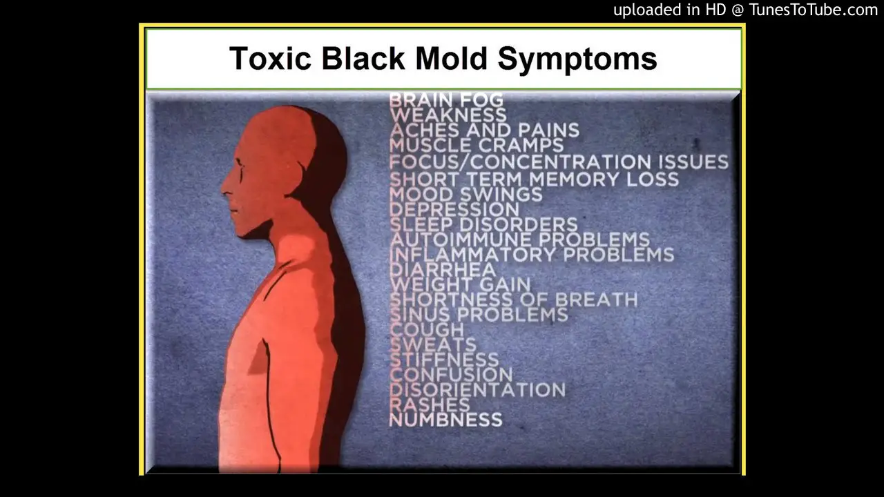 Mary Ackerley: The Brain on Fire: The role of toxic mold ...