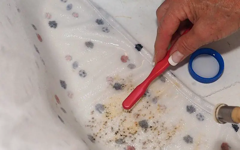 Mildew Spots On Clothes