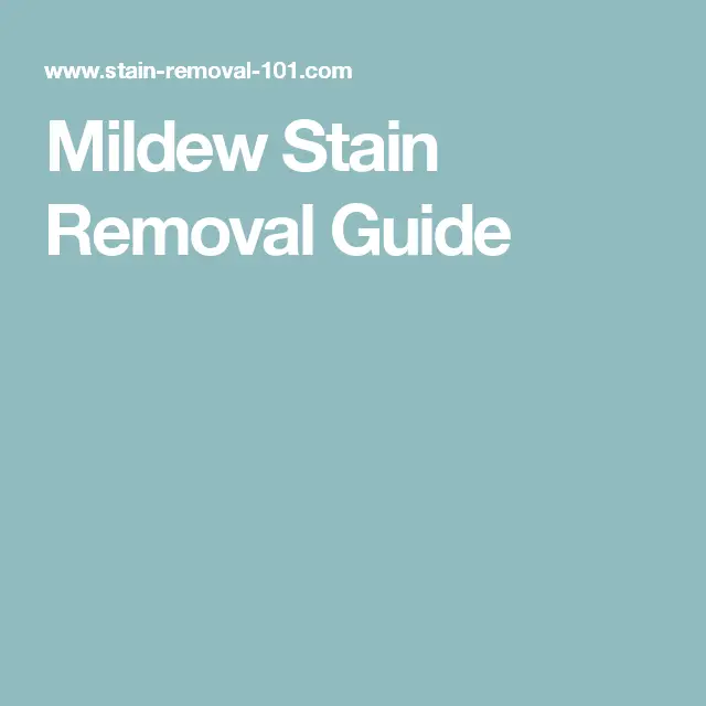Mildew Stain Removal Guide