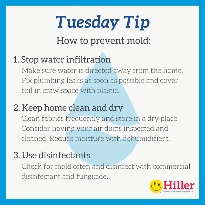 Moisture Control for the Home: How to Prevent Mold and Mildew