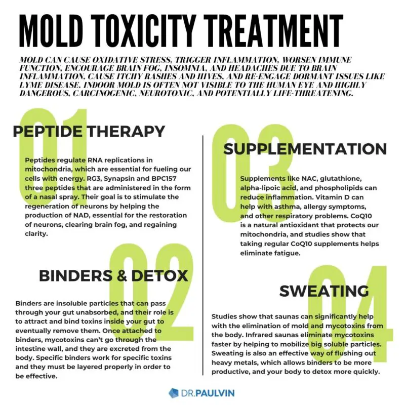 Mold 101: Mold Toxicity  Dr. Neil Paulvin