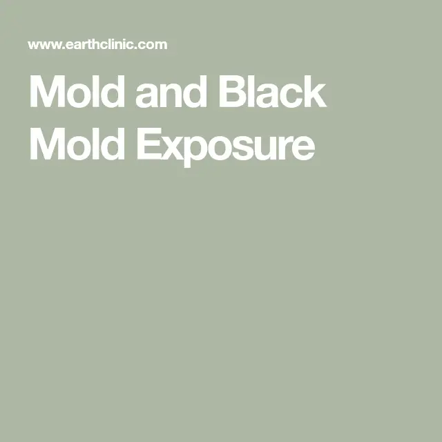 Mold and Black Mold Exposure
