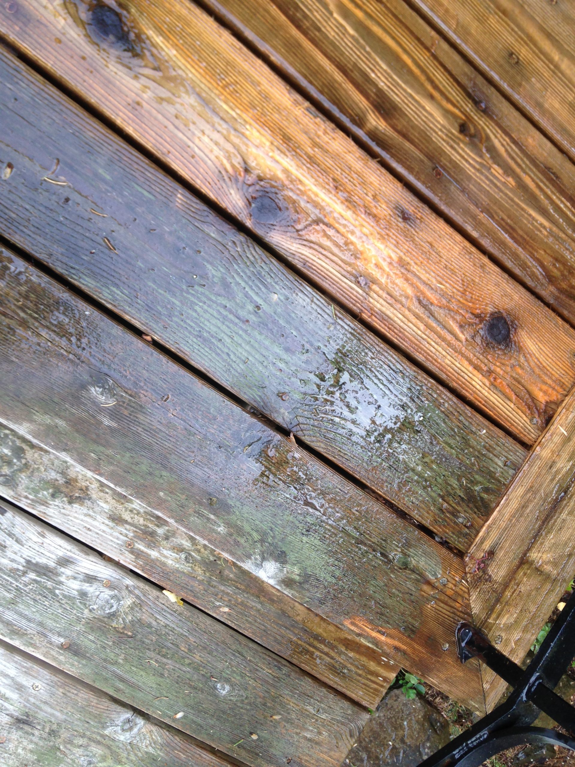 Mold and Mildew on Wood Decks