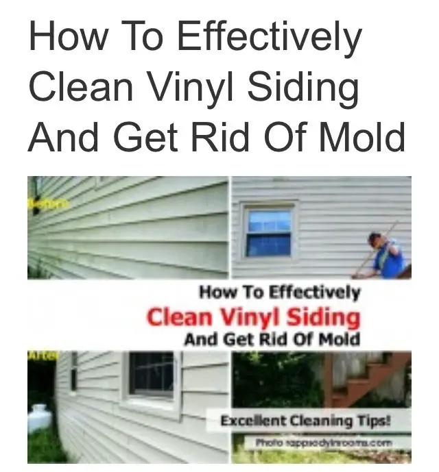 Mold Busters (Or How to Clean Vinyl Siding)