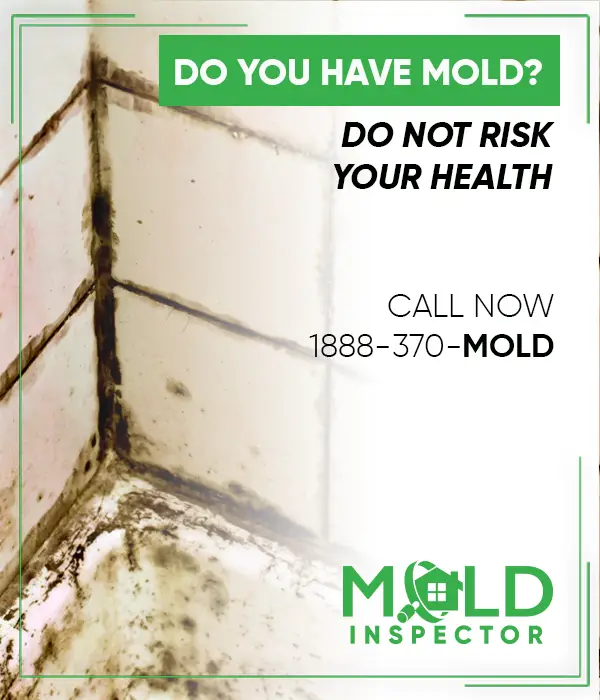 Mold can be dangerous to your health, which means itâs crucial to make ...