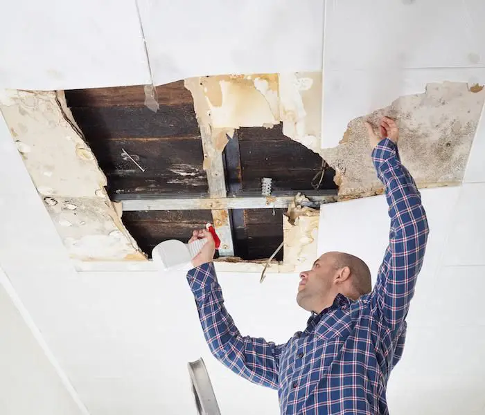 Mold Cleanup Methods