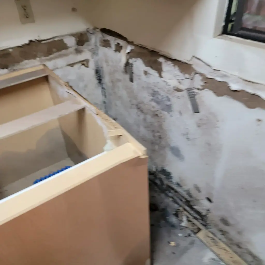 Mold Cleanup / Removal in Maui, HI