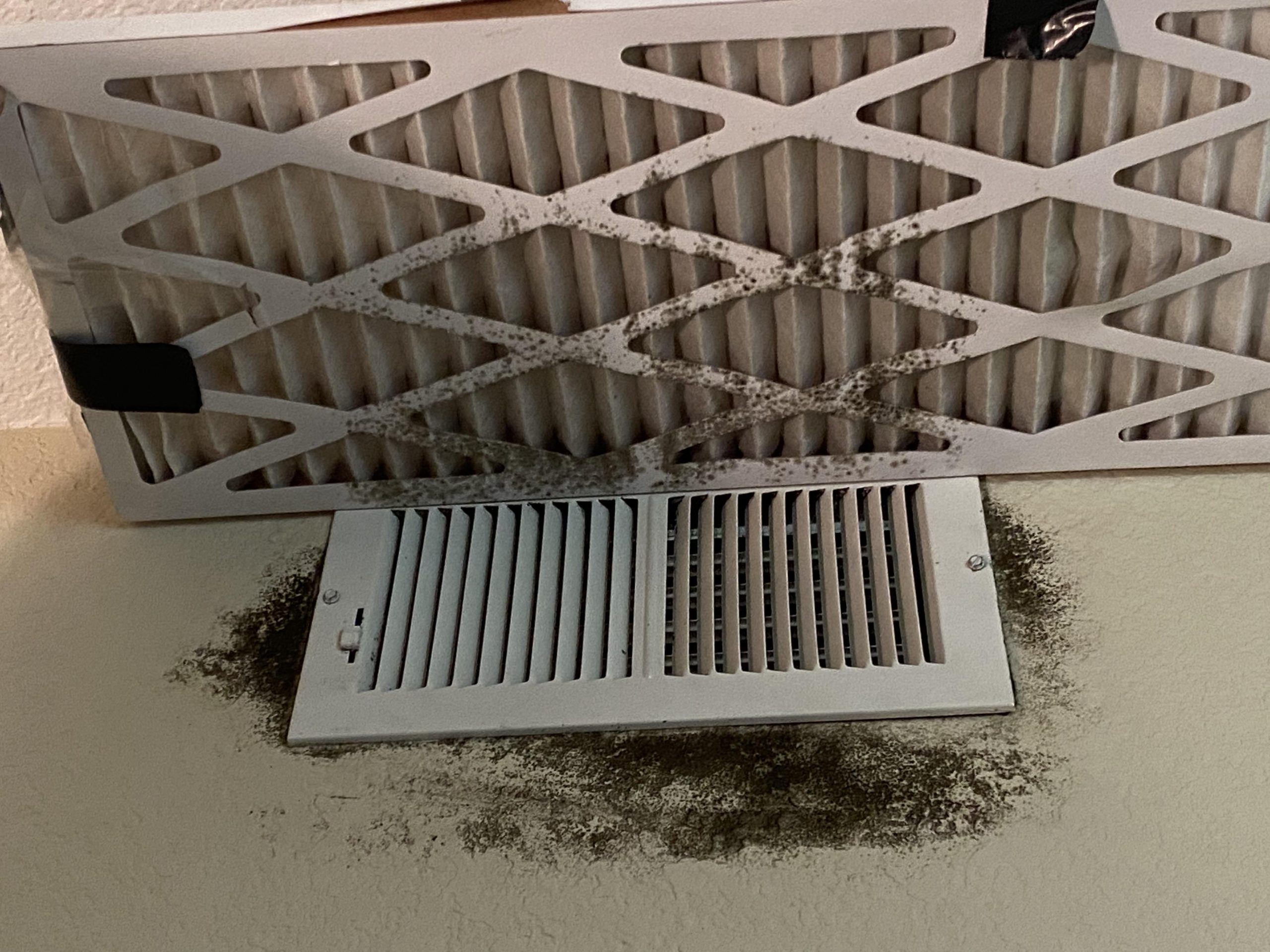 Mold coming out of my vent.... my apartment complex ...