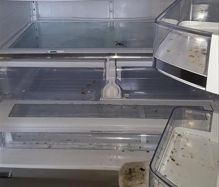 Mold found in Kitchen Refrigerator.