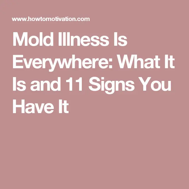 Mold Illness Is Everywhere: What It Is and 11 Signs You Have It ...