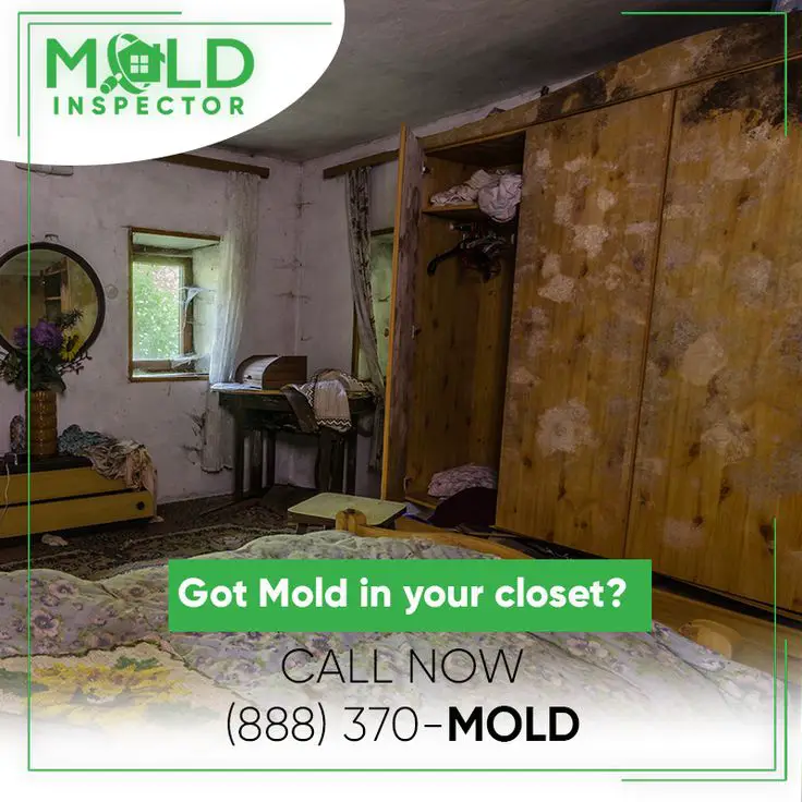 Mold in closets usually occur on the closetâs outside wall of the house ...