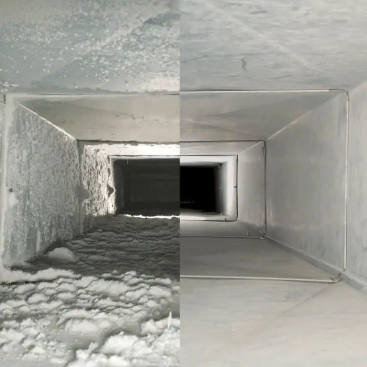 Mold in HVAC Air Ducts
