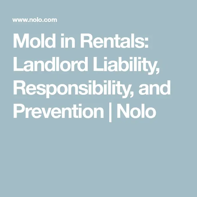 Mold in Rentals: Landlord Liability, Responsibility, and Prevention ...