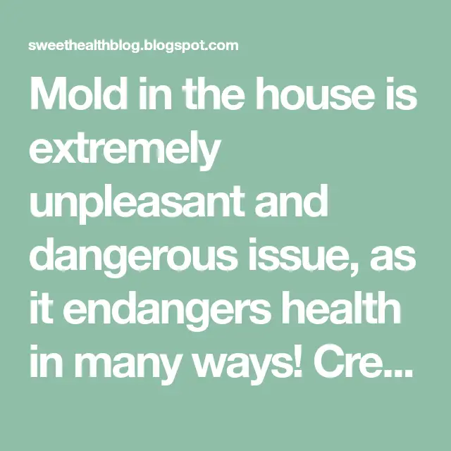 Mold in the house is extremely unpleasant and dangerous issue, as it ...