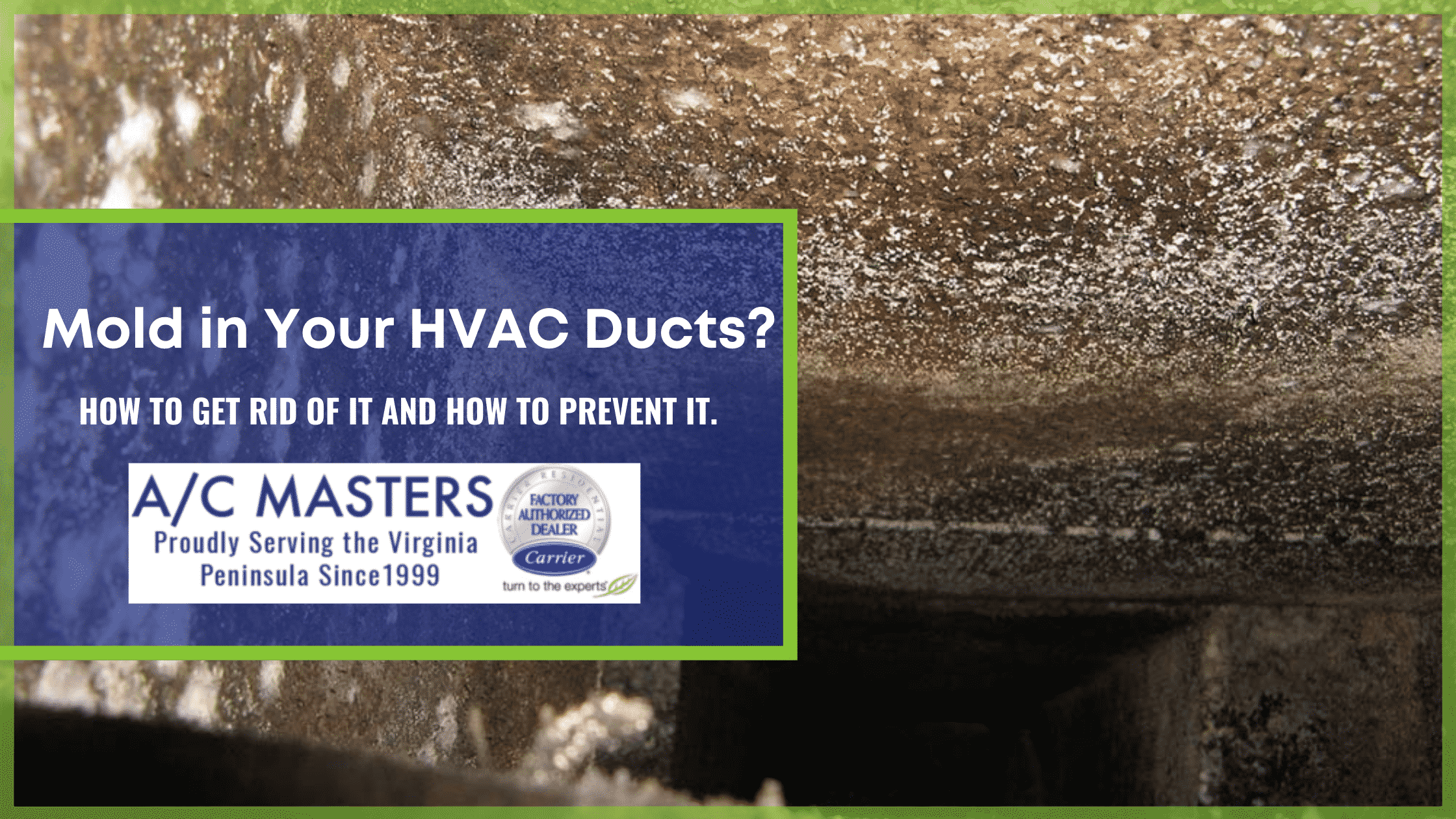 Mold in Your HVAC Ducts? How to Get Rid of it and How to ...