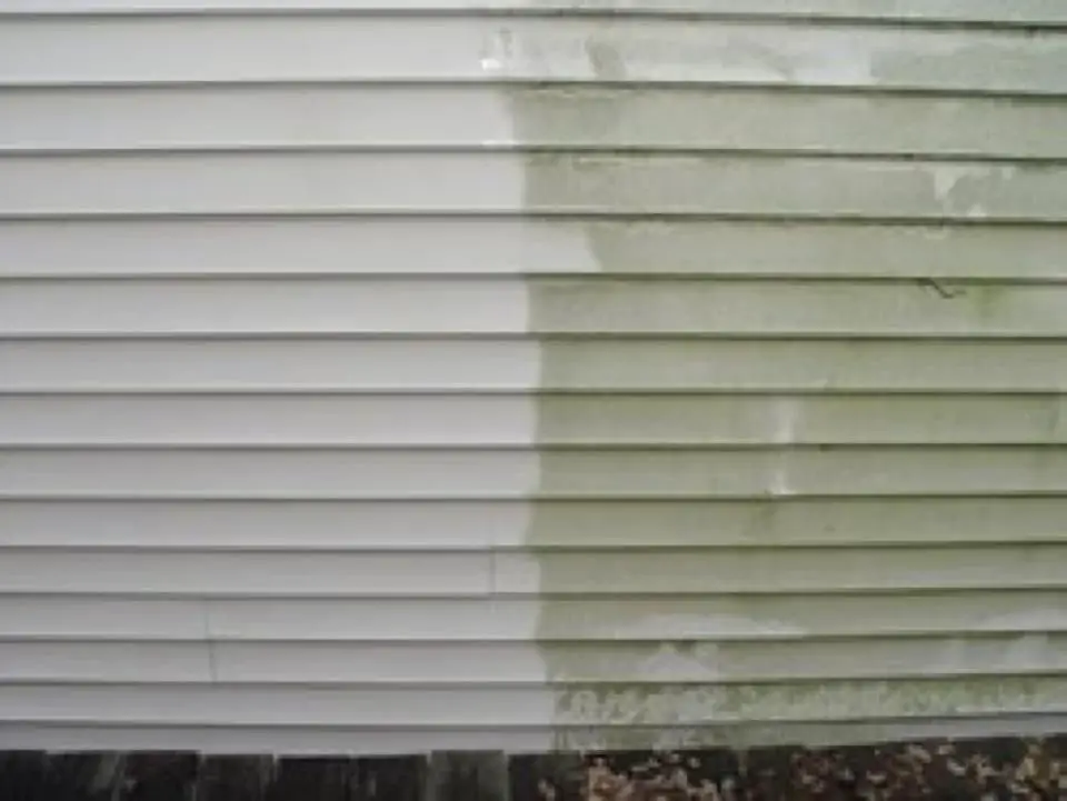 Mold &  Mildew removal off vinyl siding. Ck out more pics ...