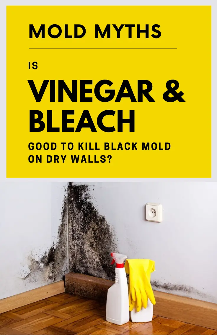Mold Myths! Is Vinegar And Bleach Good To Kill Black Mold On Dry Walls ...