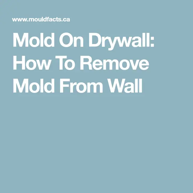 Mold On Drywall: How To Remove Mold From Wall
