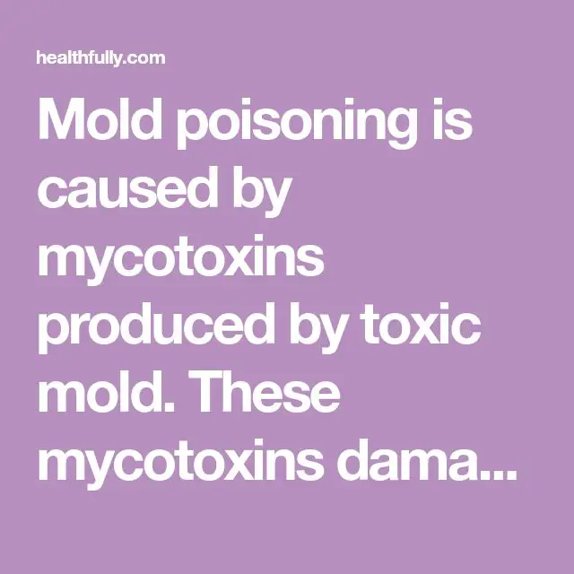 Mold poisoning is caused by mycotoxins produced by toxic mold. These ...