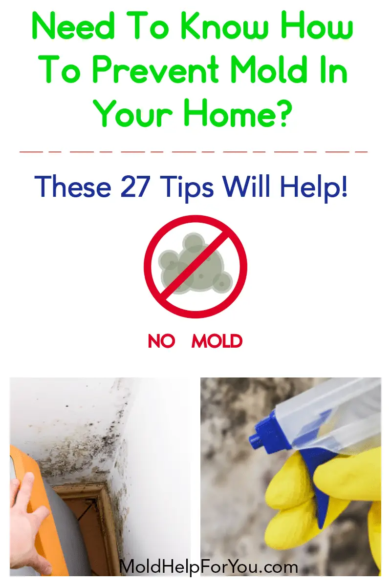 Mold Prevention  27 Tips To Prevent Mold and Mildew In Your Home ...