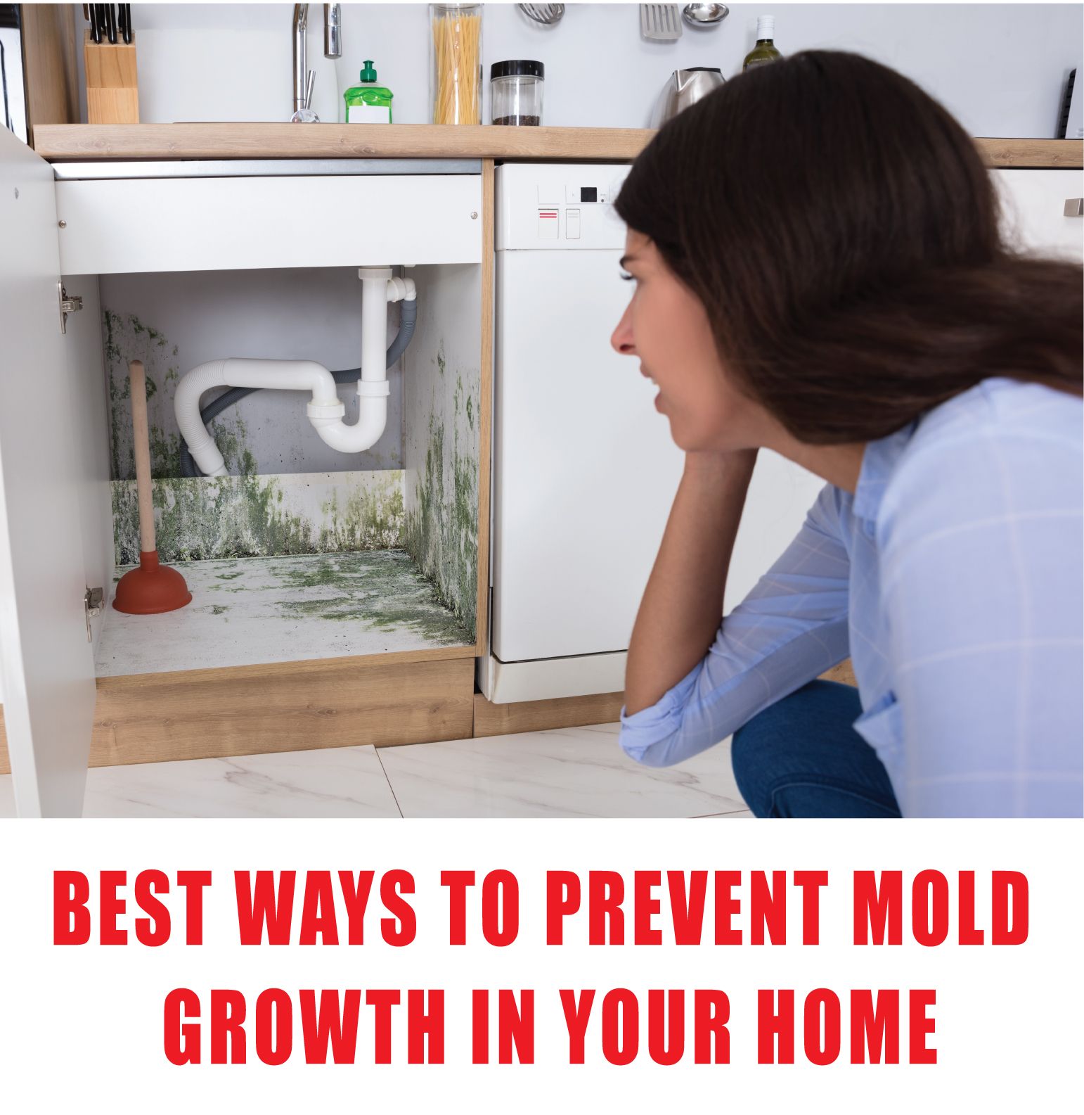 Mold Prevention Tips: Don