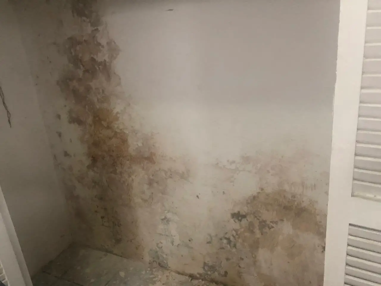 Mold problem in my father