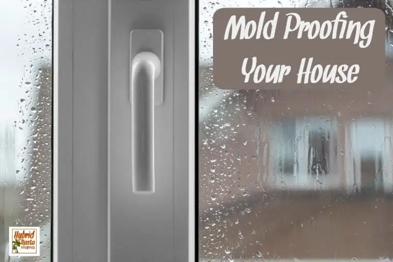 Mold Proofing Your House