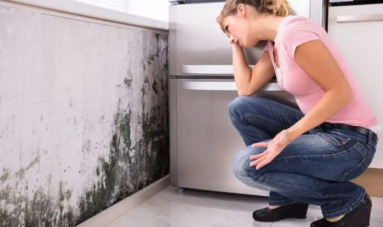Mold Remediation in Allentown, PA