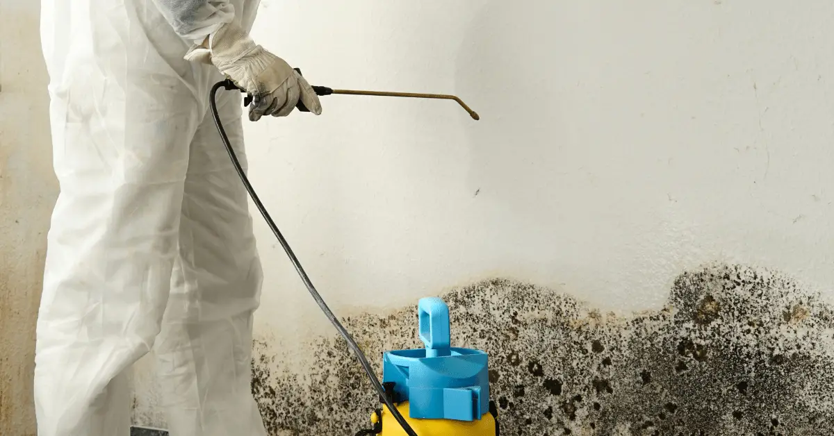 Mold Remediation  Prime Restoration &  Cleaning