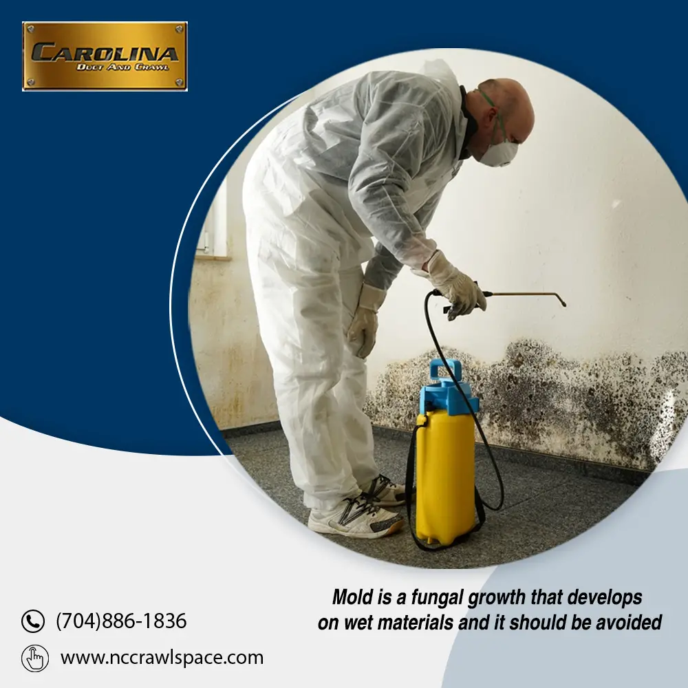 Mold Remediation Services by Duct and Crawl
