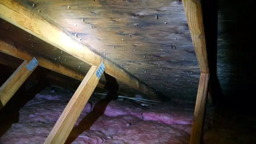 Mold Removal Cost .............Cost Factors, Insurance ...