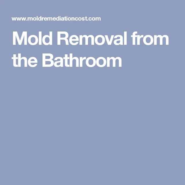 Mold Removal from the Bathroom