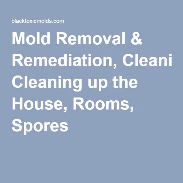 Mold Removal &  Remediation, Cleaning up the House, Rooms, Spores