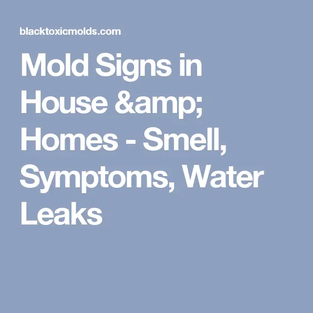 Mold Signs in House &  Homes