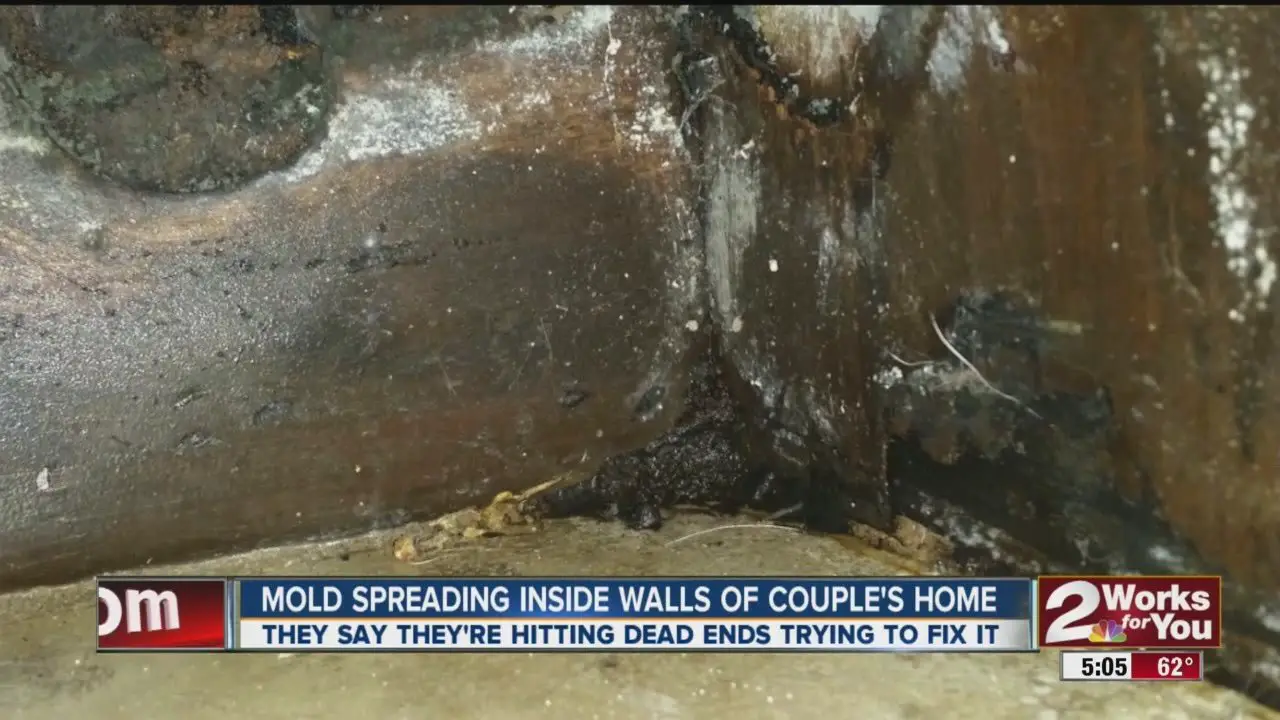 Mold Spreading Inside Walls Of Home