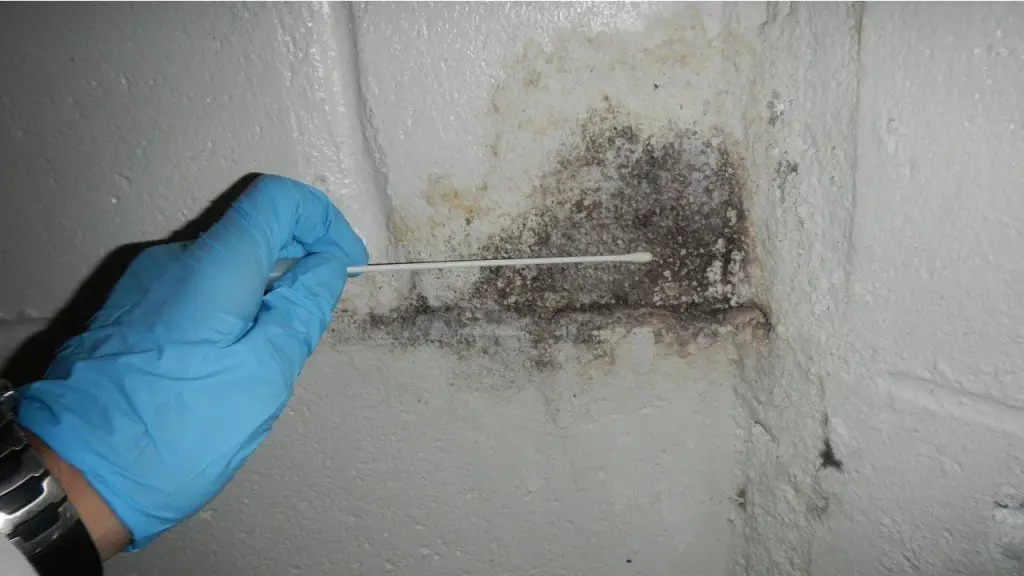 Mold Testing and Mold Remediation Fox River Grove IL
