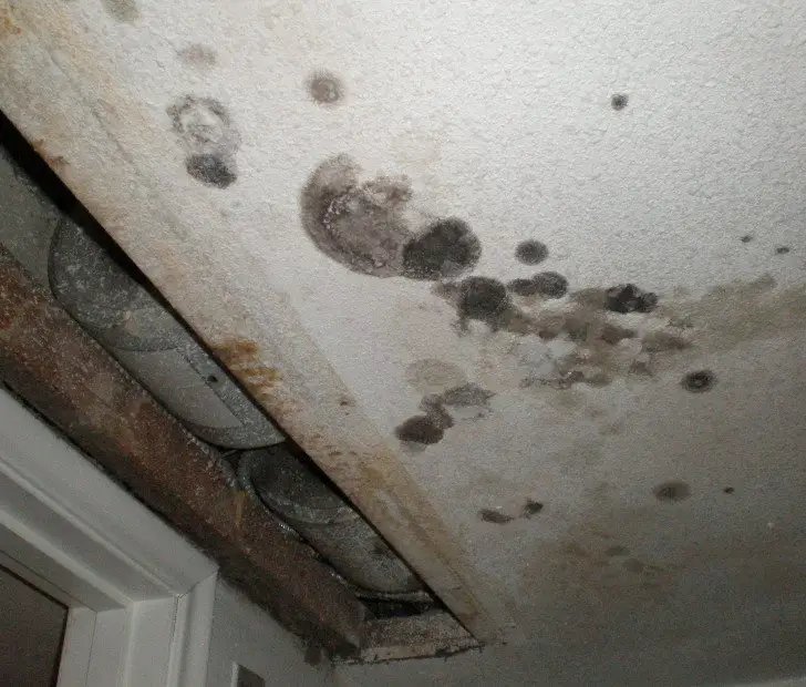 Mold Toxicity Can Cause Deep Psychological Mental Health Issues ...