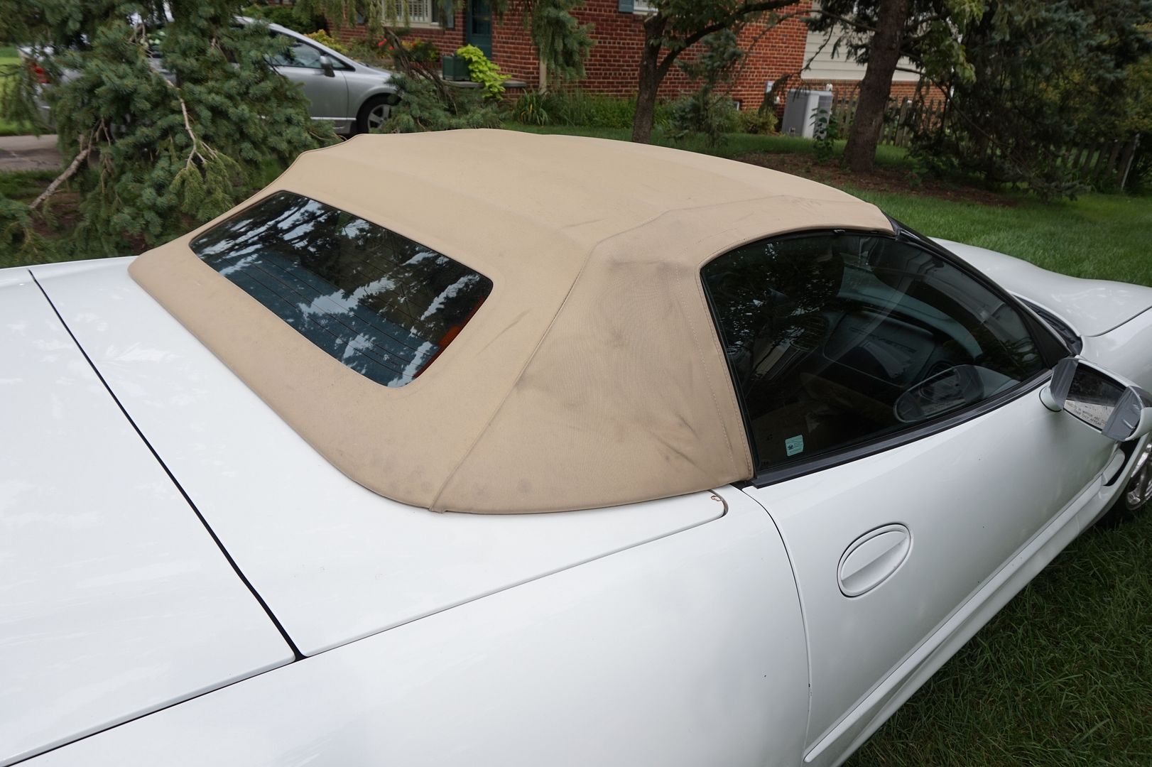 Mold/Mildew stained Tan convertible top wont clean up ...